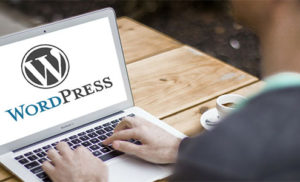 What are the Benefits of Using WordPress for Developing a Business Website?